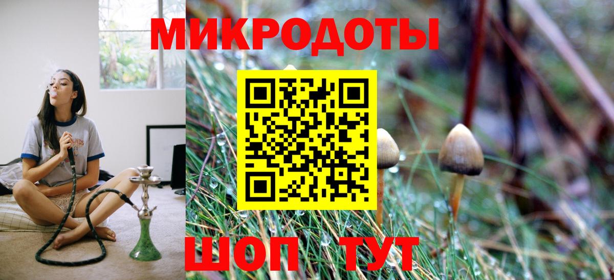 купить   Вход с VPN  Богородицк  Псилоцибиновые грибы GOLDEN TEACHER 